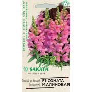 Львиный зев Соната малиновая F1 7 шт. (ГШ)