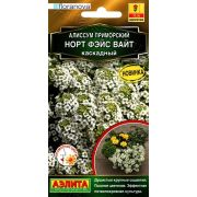 Алиссум Норт фэйс вайт каскадный 10шт (Аэлита)